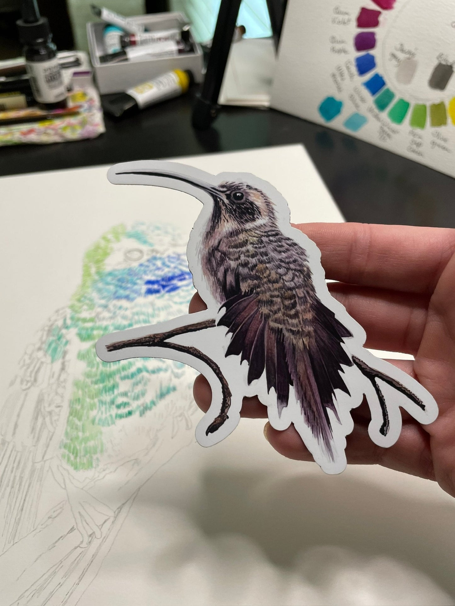 Long-billed Hermit - Bird Art by KB - Magnet