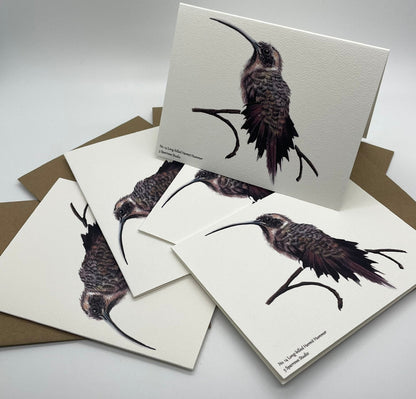 Long-billed Hermit - Bird Art by KB - Notecard Set