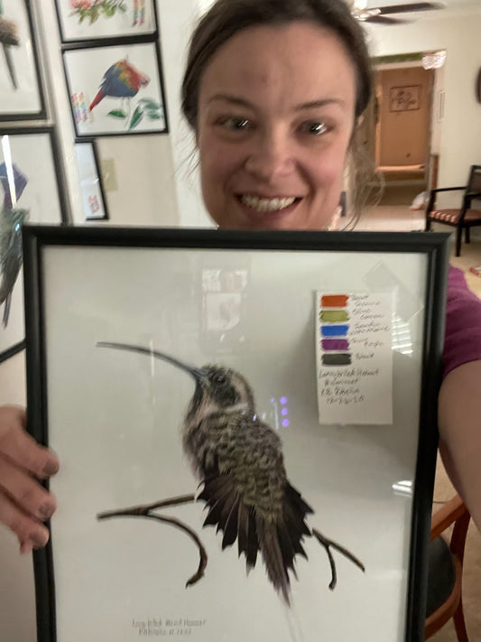 Long-billed Hermit - Bird Art by KB - Original