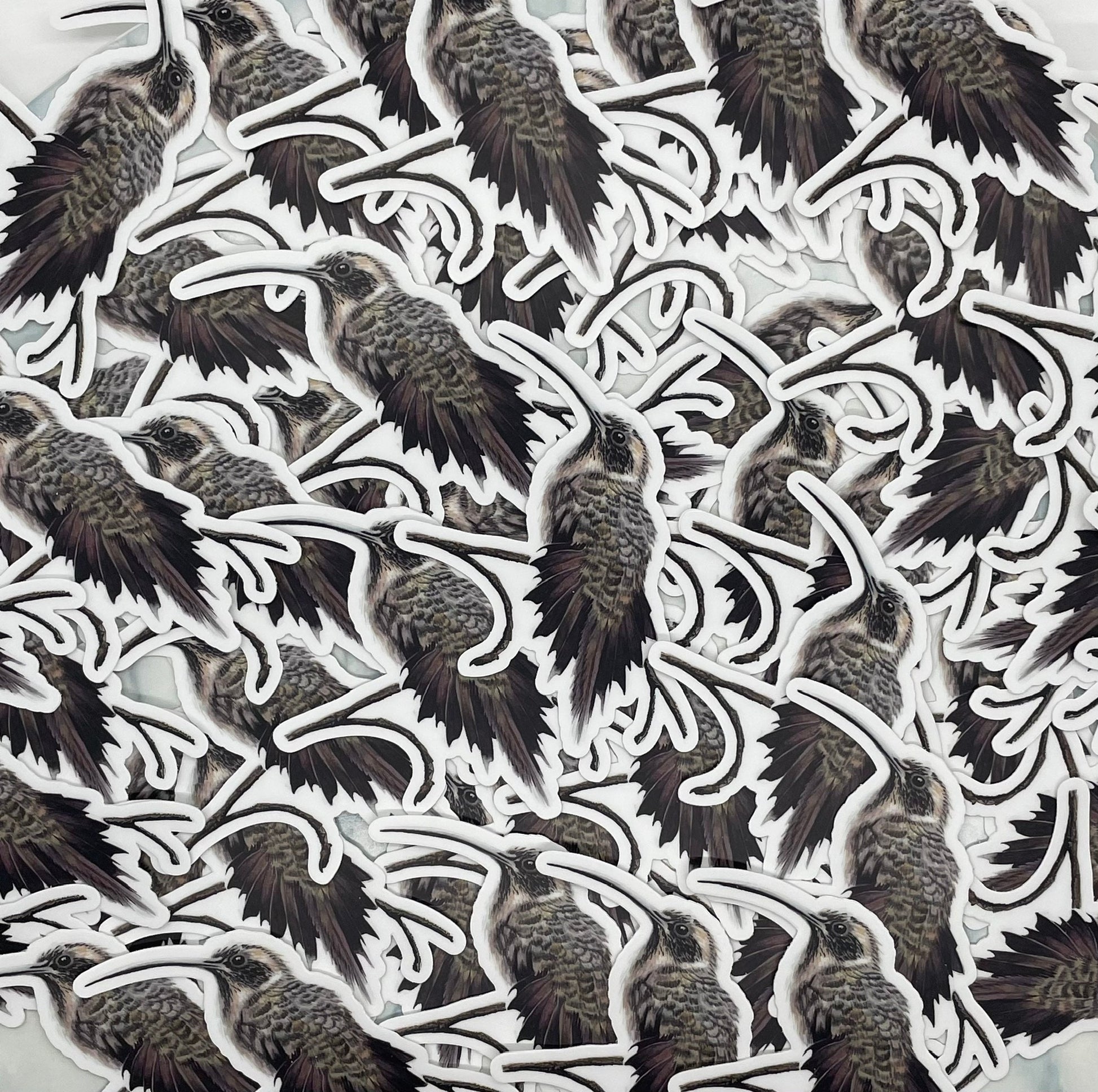 Long-billed Hermit - Bird Art by KB - Sticker