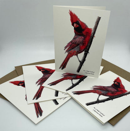 Cardinal - Male - Bird Art by KB - Notecard Set