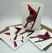 Load image into Gallery viewer, Cardinal - Male - Bird Art by KB - Notecard Set
