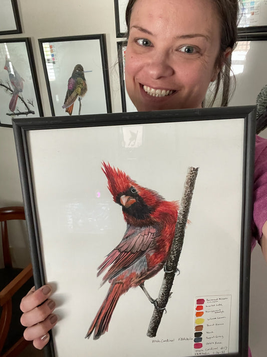 Cardinal - Male - Bird Art by KB - Original