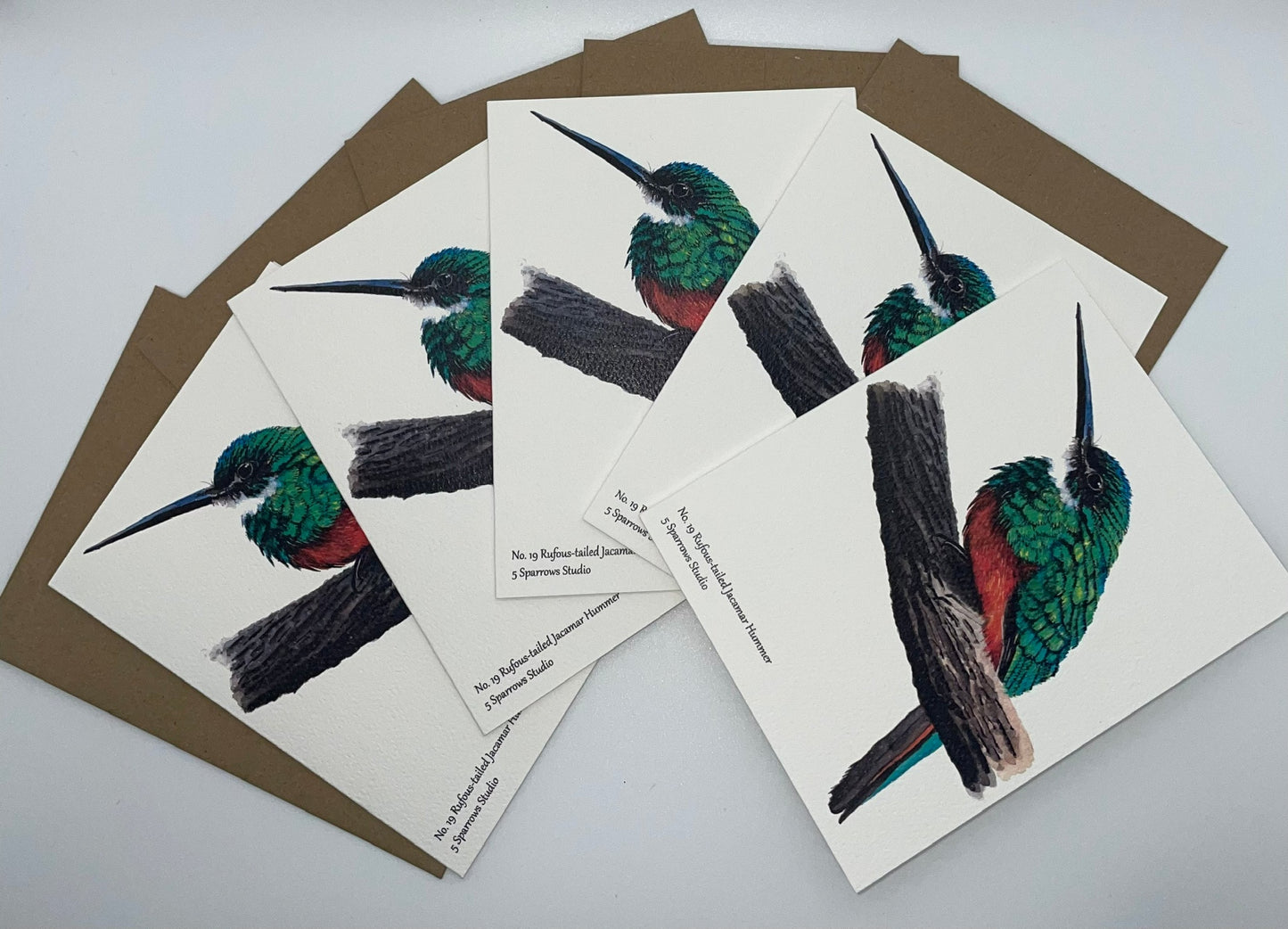 Rufous-tailed Jacamar - Bird Art by KB - Notecard Set