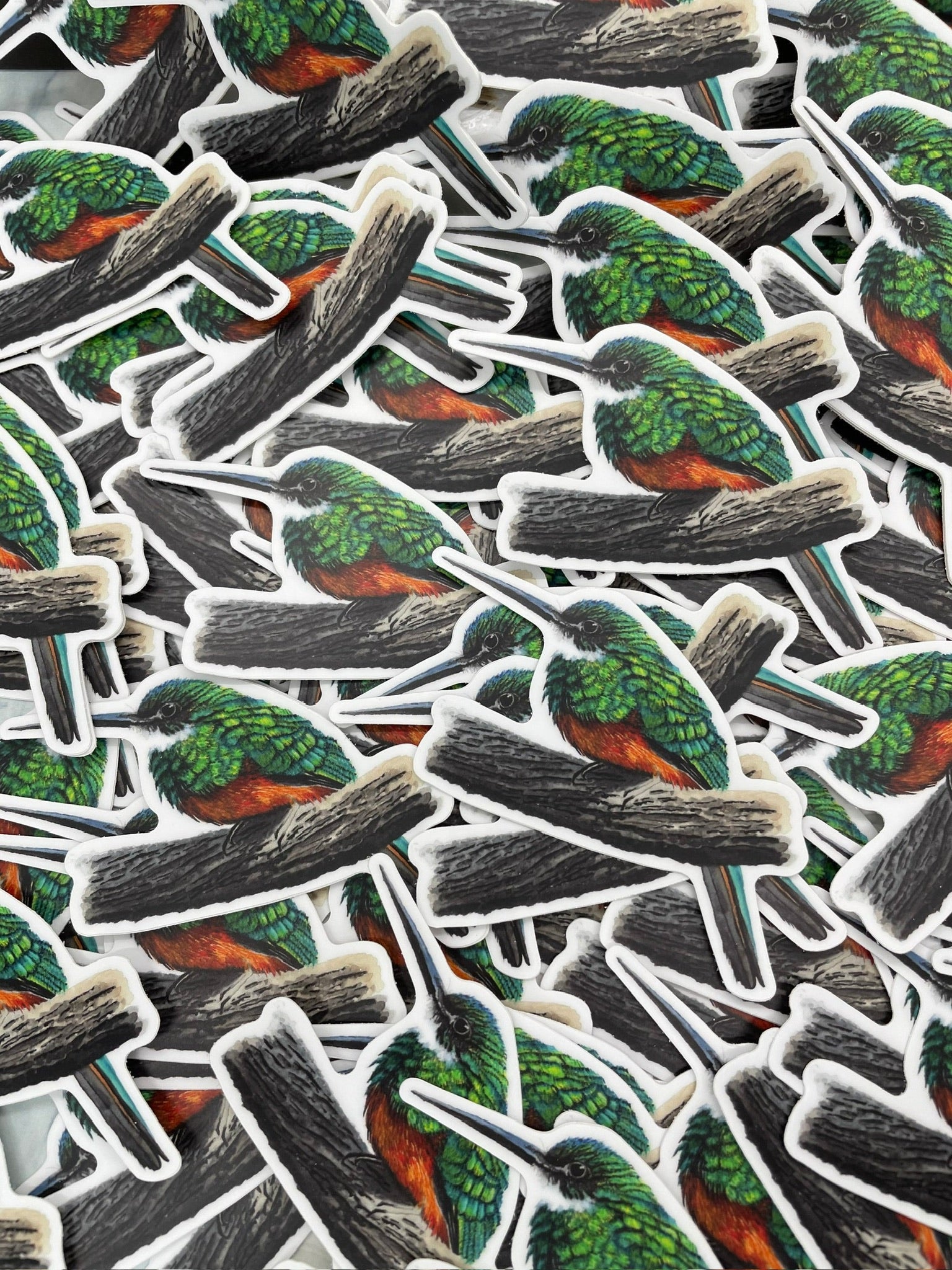 Rufous-tailed Jacamar - Bird Art by KB - Sticker