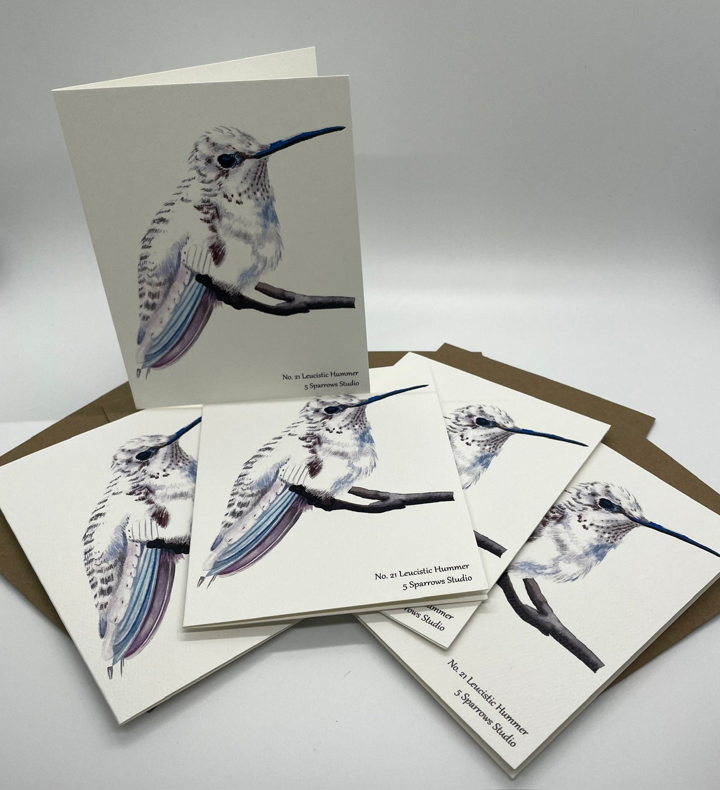 Leucistic Hummer - Bird Art by KB - Notecard Set