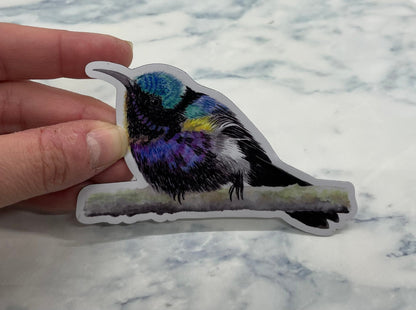Copper-throated Sunbird - Bird Art by KB - Magnet