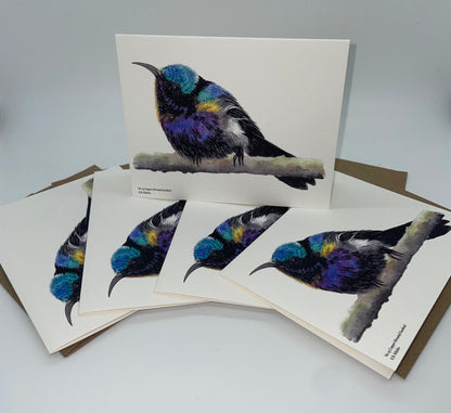 Copper-throated Sunbird - Bird Art by KB - Notecard Set