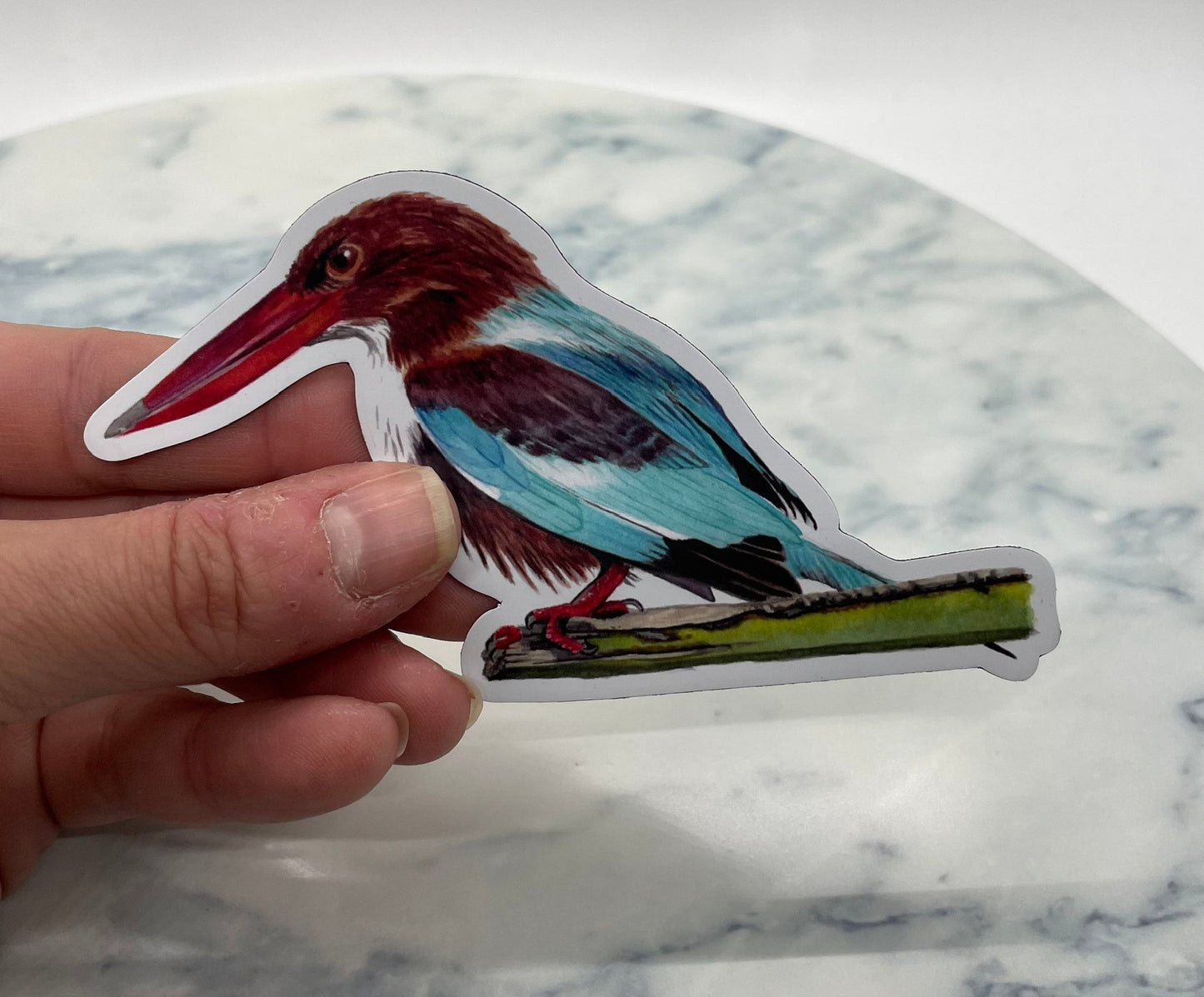 White-throated Kingfisher - Bird Art by KB - Magnet