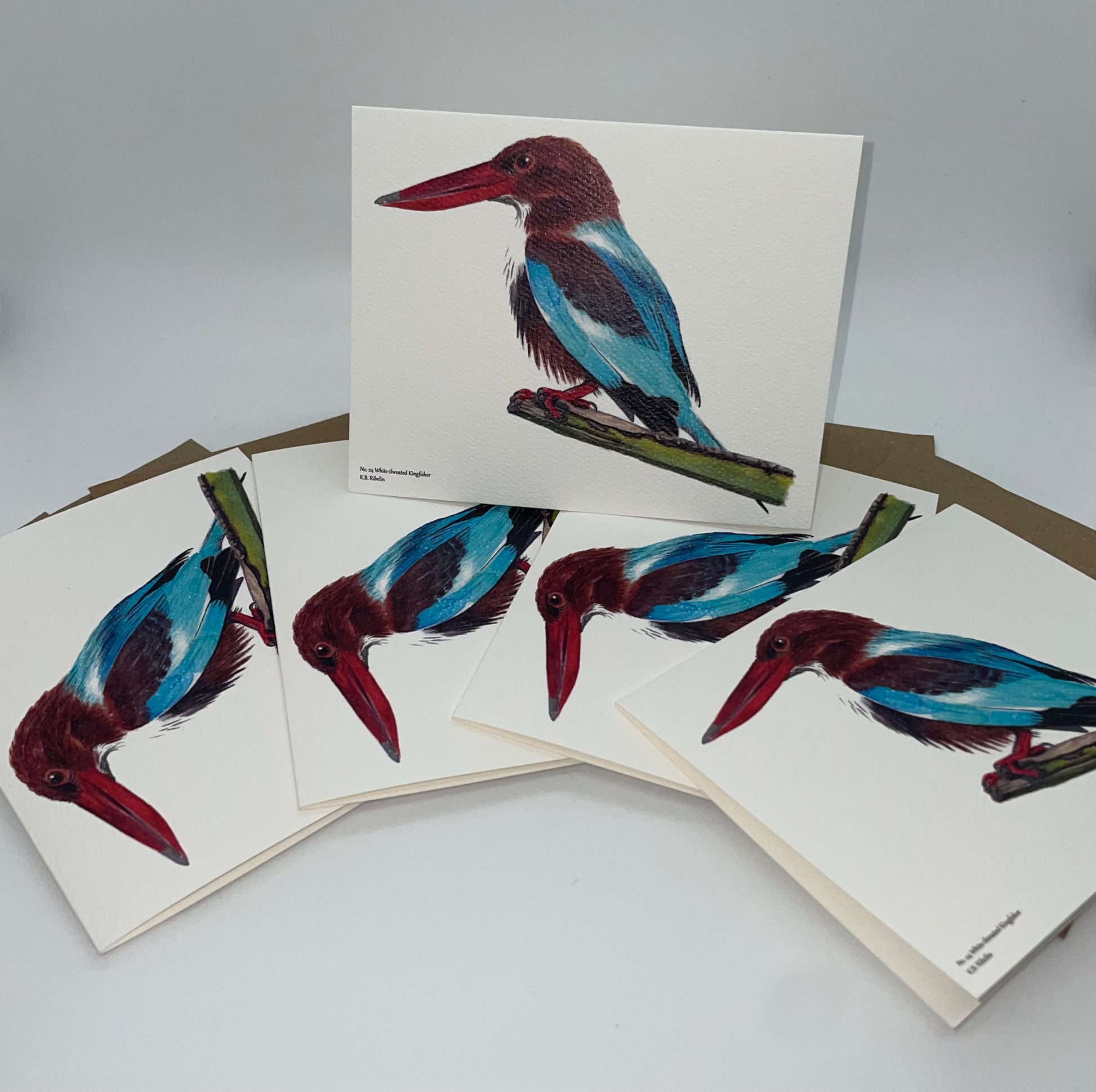 White-throated Kingfisher - Bird Art by KB - Notecard Set