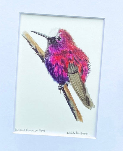 Snowcap - Bird Art by KB - Giclee Print with White Mat