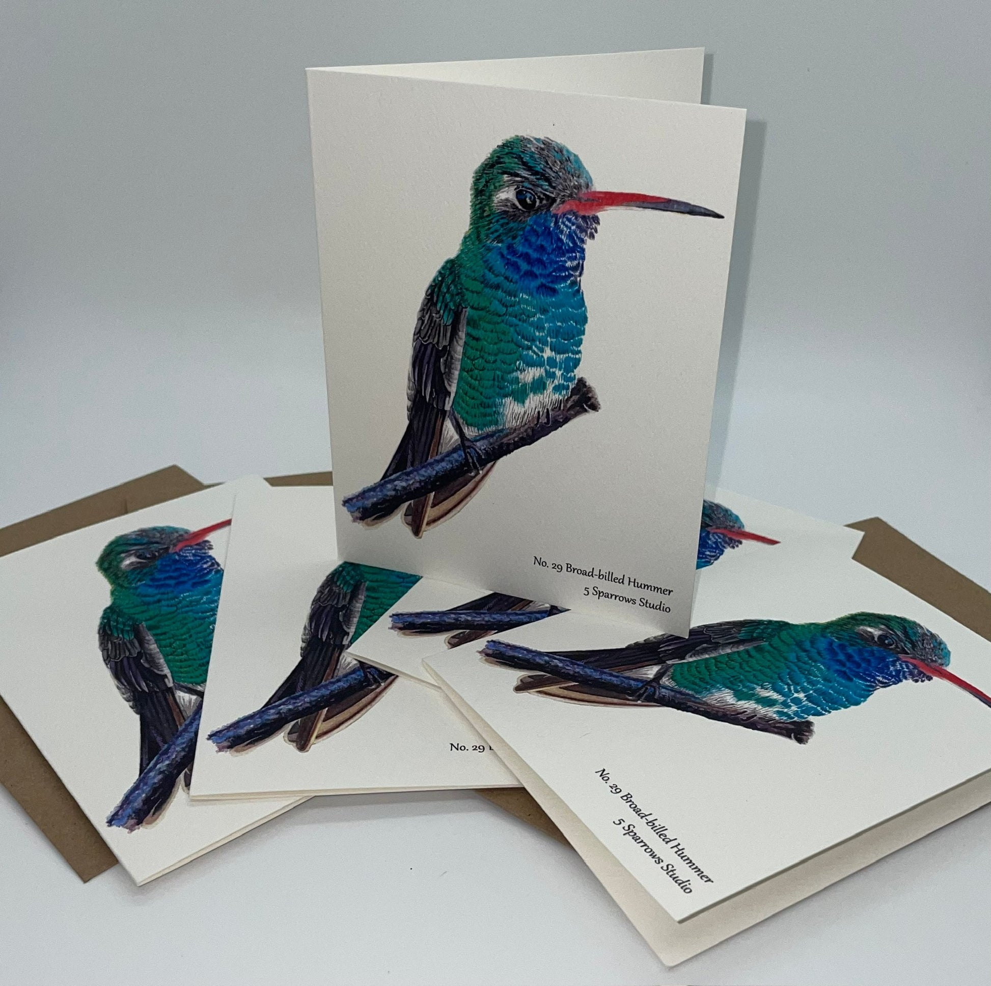 Broad-billed Hummingbird - Bird Art by KB - Notecard Set