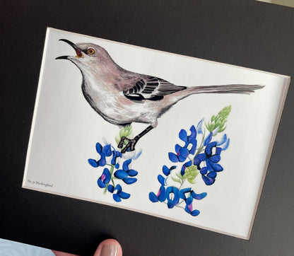 Mockingbird - Bird Art by KB - Giclee Print with Black Mat