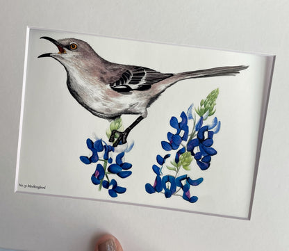 Mockingbird - Bird Art by KB - Giclee Print with White Mat