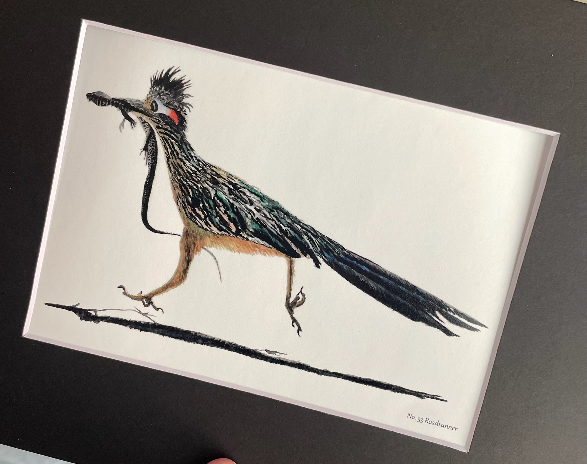 Roadrunner - Bird Art by KB - Giclee Print with Black Mat