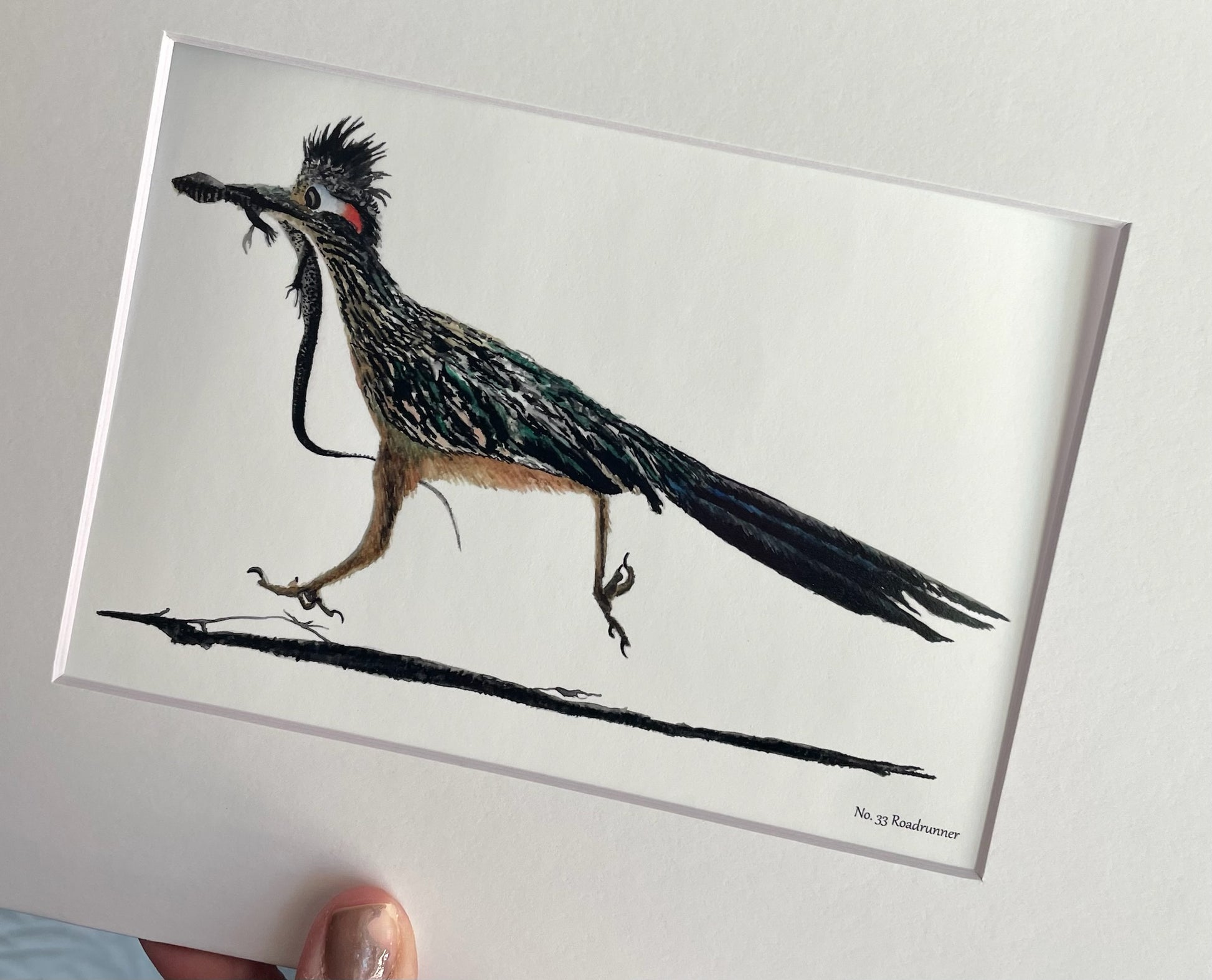 Roadrunner - Bird Art by KB - Giclee Print with White Mat