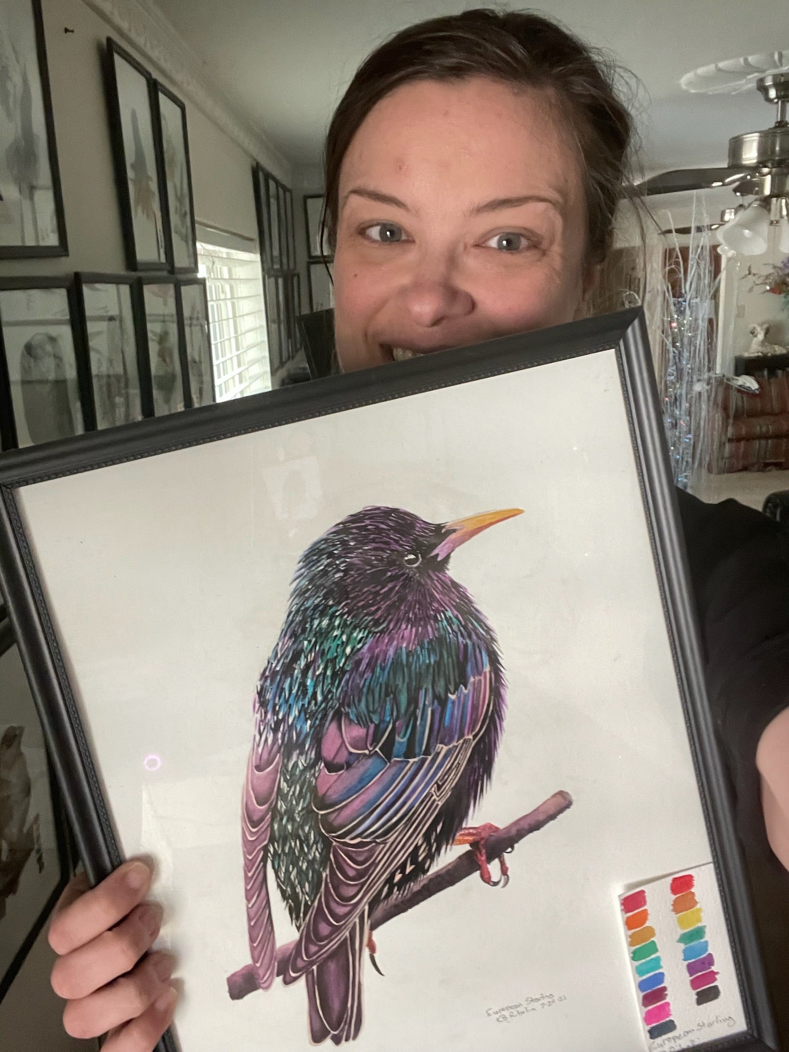European Starling - Bird Art by KB - Original