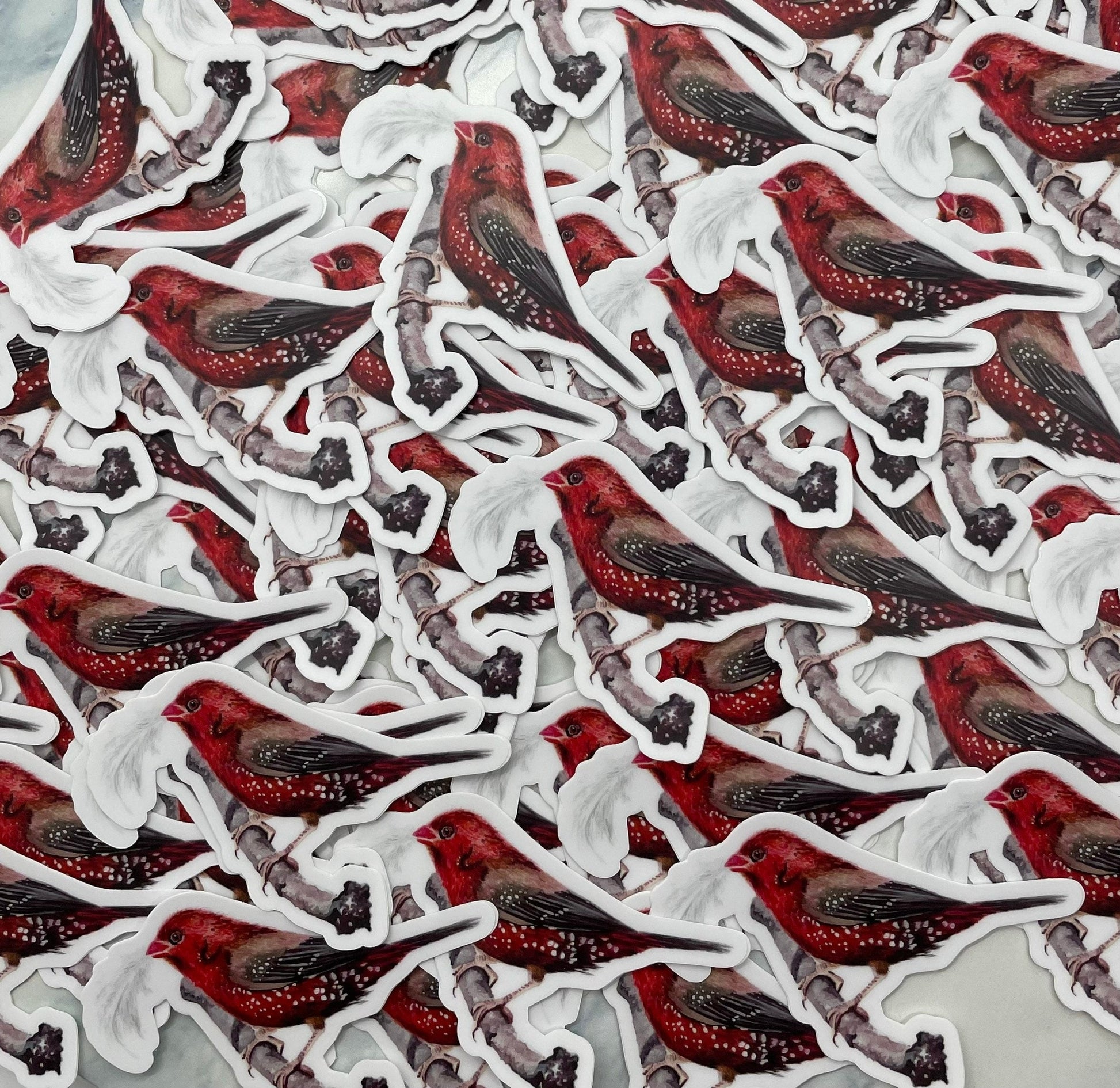 Strawberry Finch - Bird Art by KB - Sticker