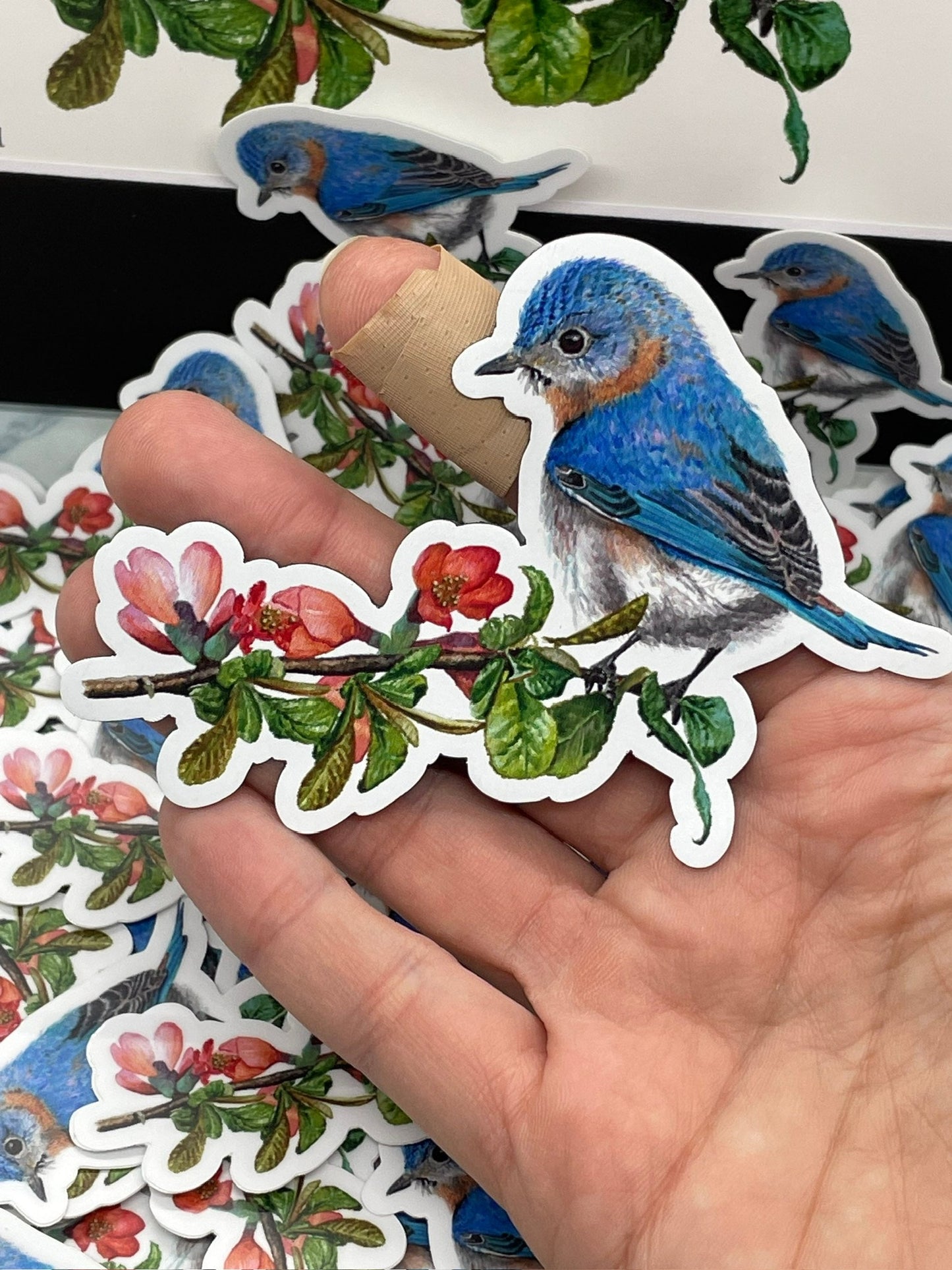 Bluebird - Bird Art by KB - Magnet
