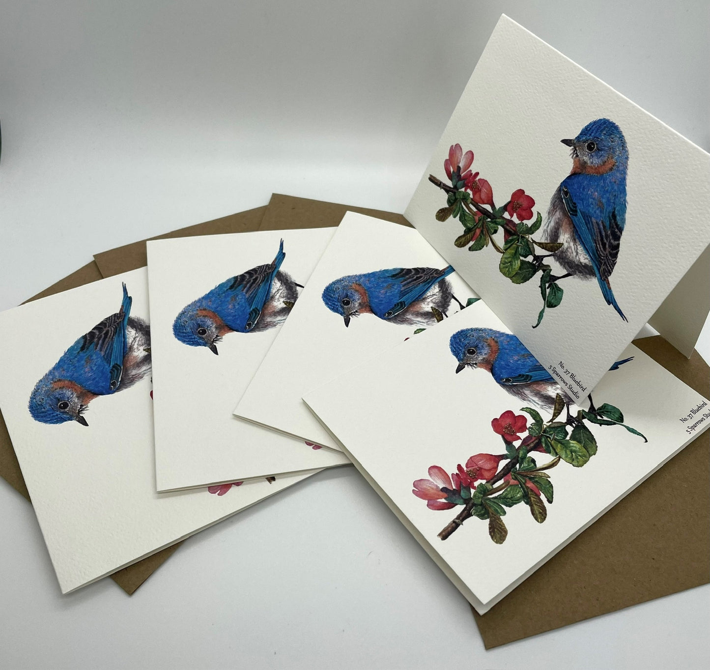Bluebird - Bird Art by KB - Notecard Set