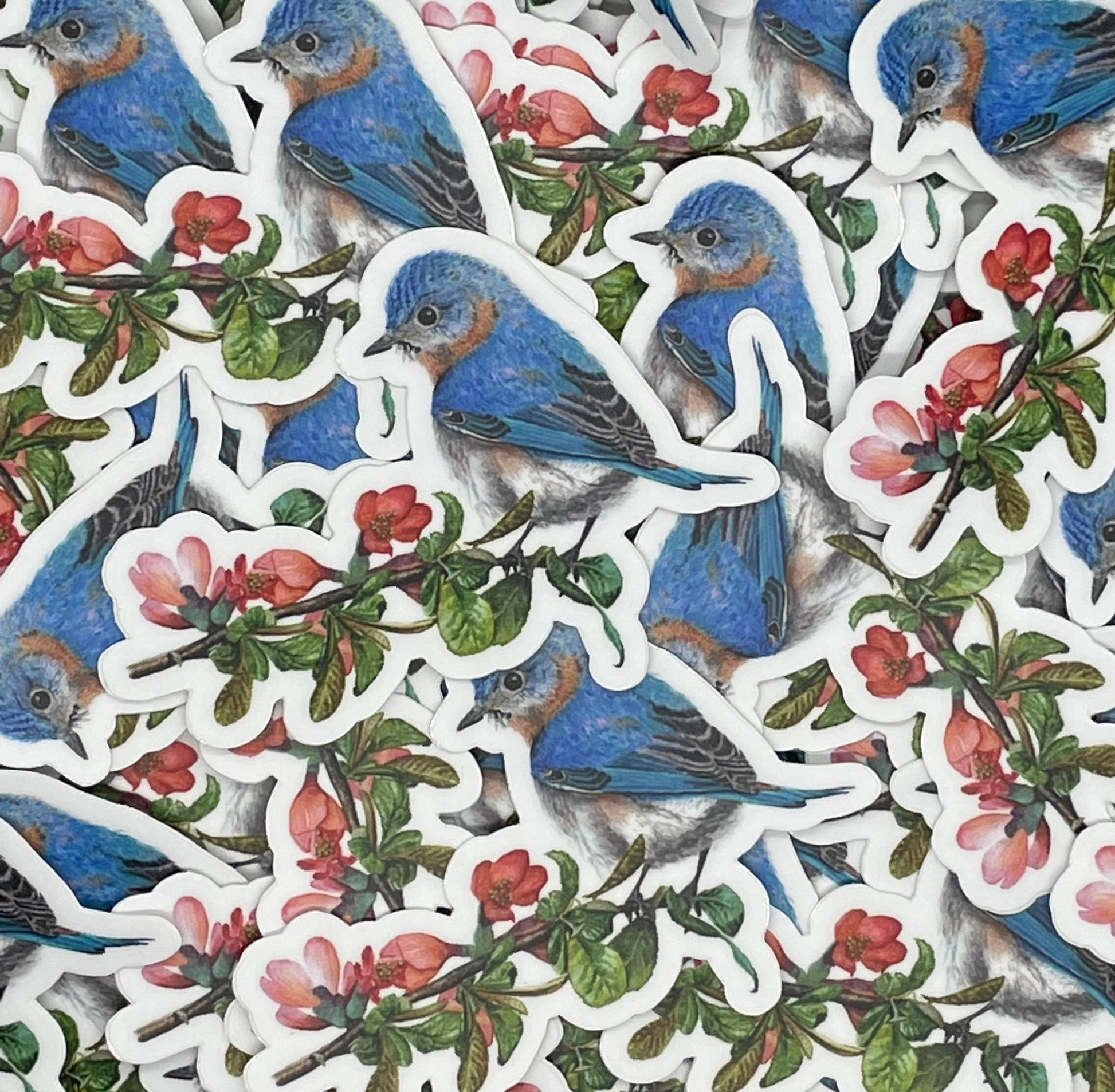 Bluebird - Bird Art by KB - Sticker