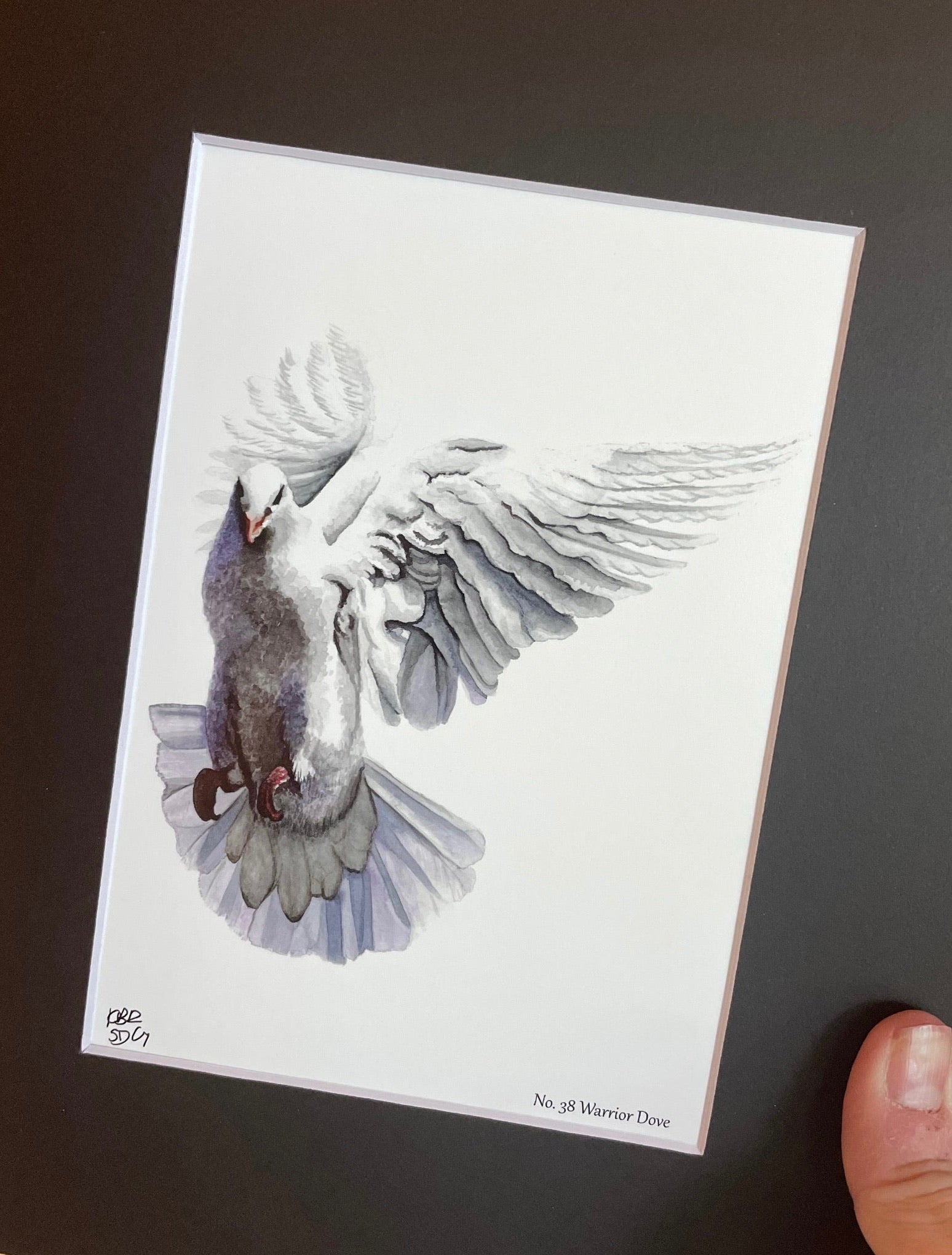 Dove Warrior - Bird Art by KB - Giclee Print with Black Mat
