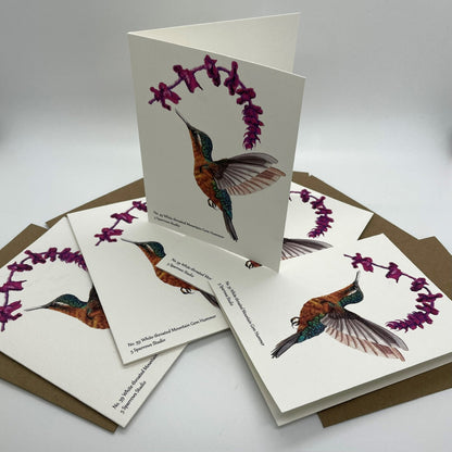 White-throated Mountaingem Hummingbird - Bird Art by KB - Notecard Set