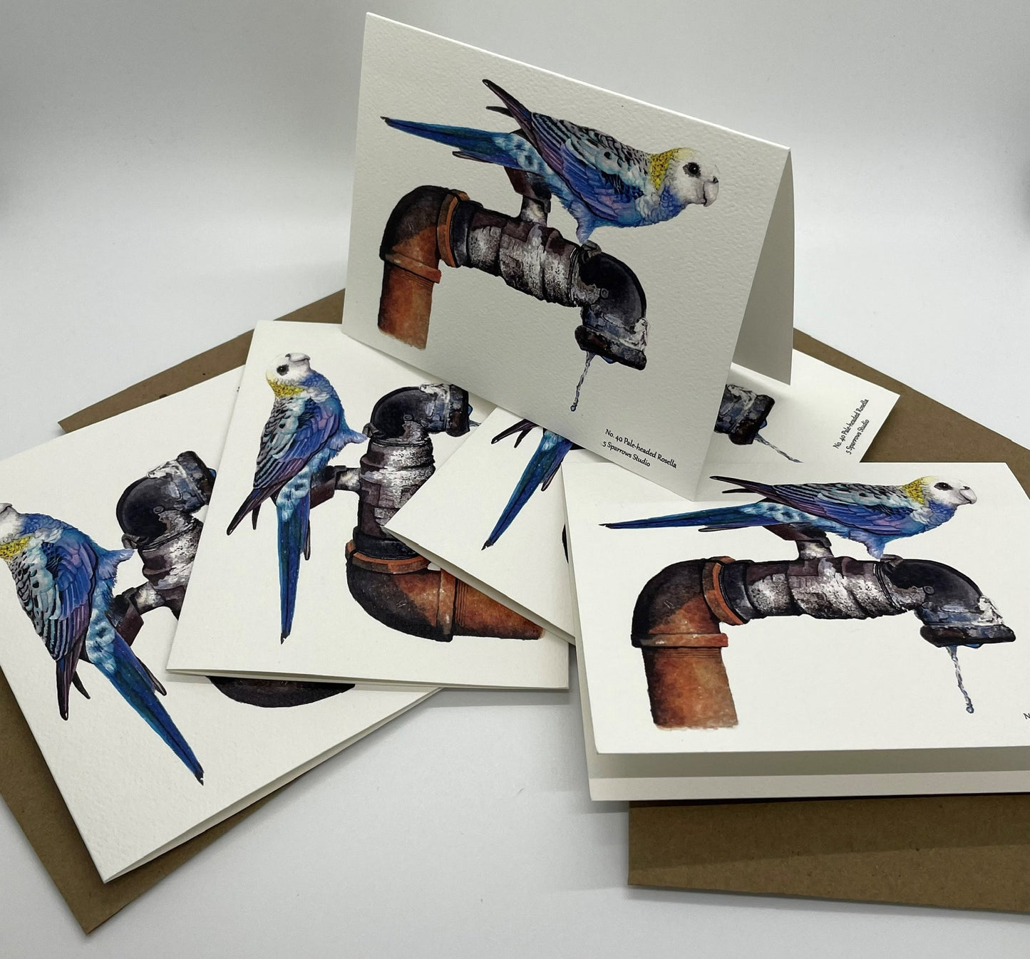 Pale-Headed Rosella - Bird Art by KB - Notecard Set