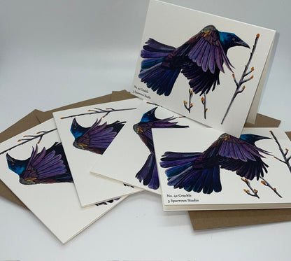 Common Grackle - Bird Art by KB - Notecard Set