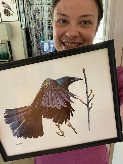 Common Grackle - Bird Art by KB - Original