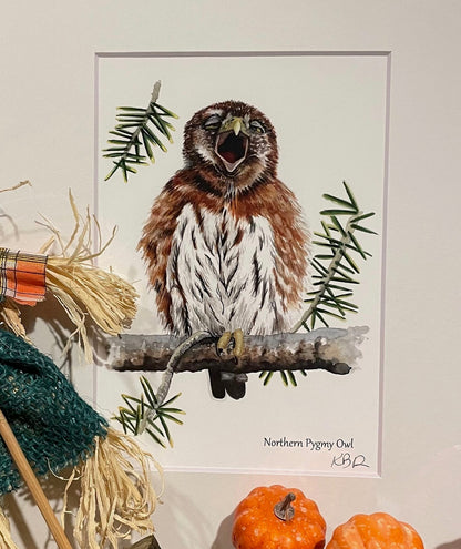 Northern Pygmy Owl - BIrd Art by KB - Giclee Print with White Mat