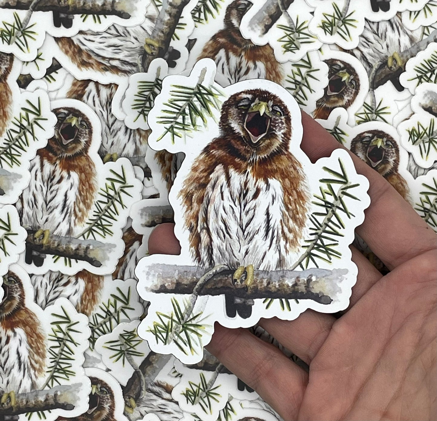 Northern Pygmy Owl - BIrd Art by KB - Magnet