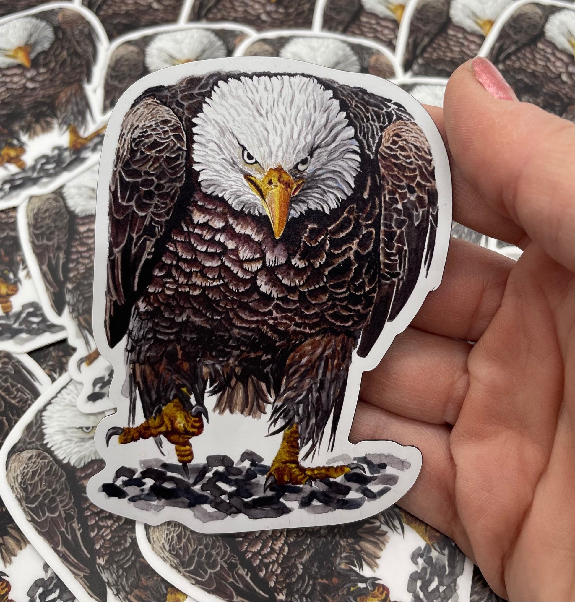 Bald Eagle - Bird Art by KB - Magnet