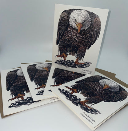 Bald Eagle - Bird Art by KB - Notecard Set