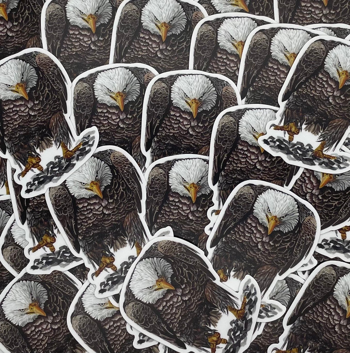 Bald Eagle - Bird Art by KB - Sticker