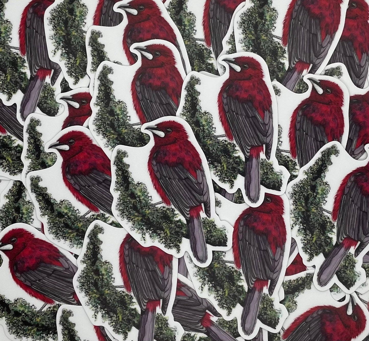 Crimson-Backed Tanager - Bird Art by KB - Sticker