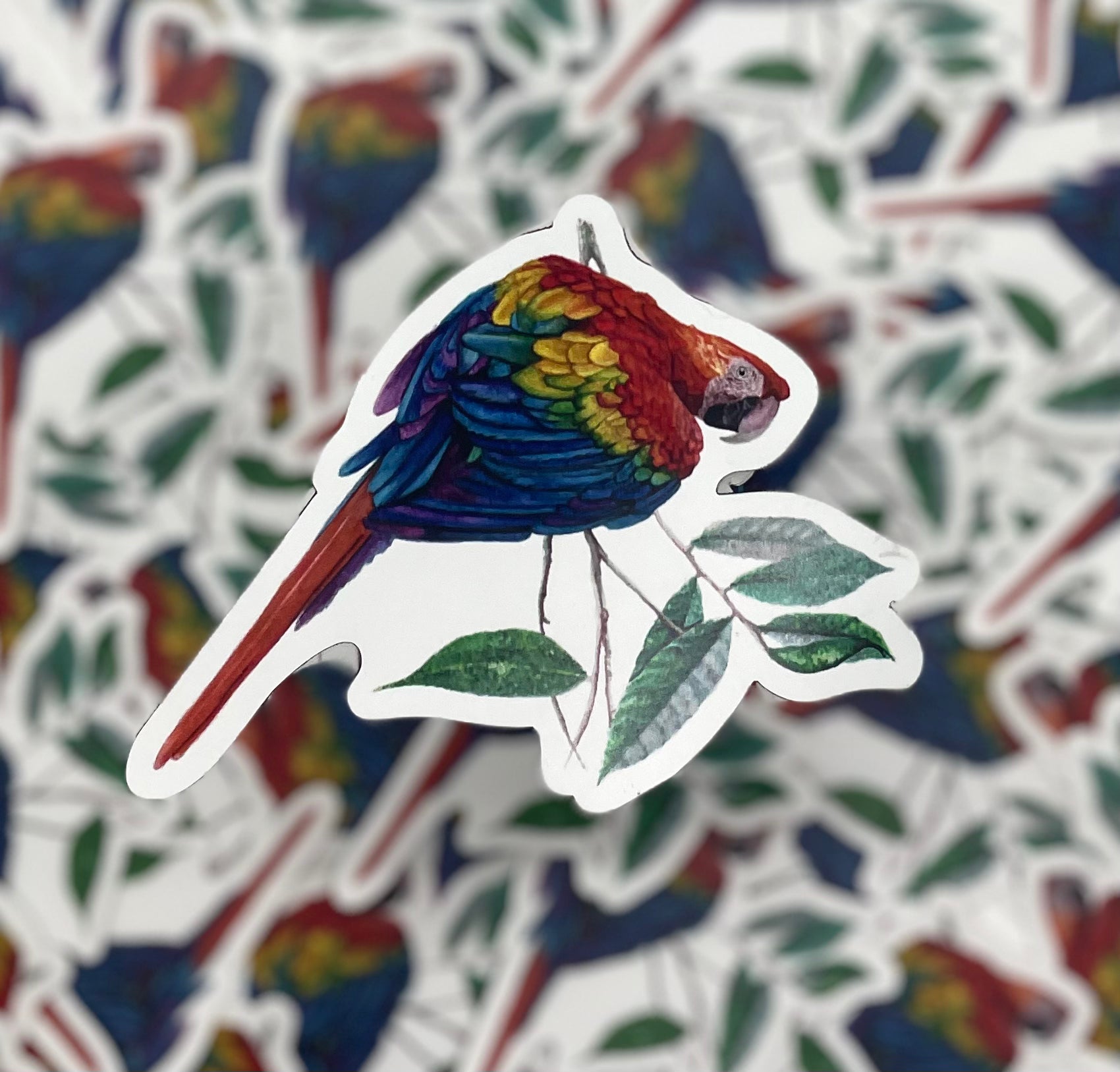 Scarlet Macaw - Bird Art by KB - Magnet