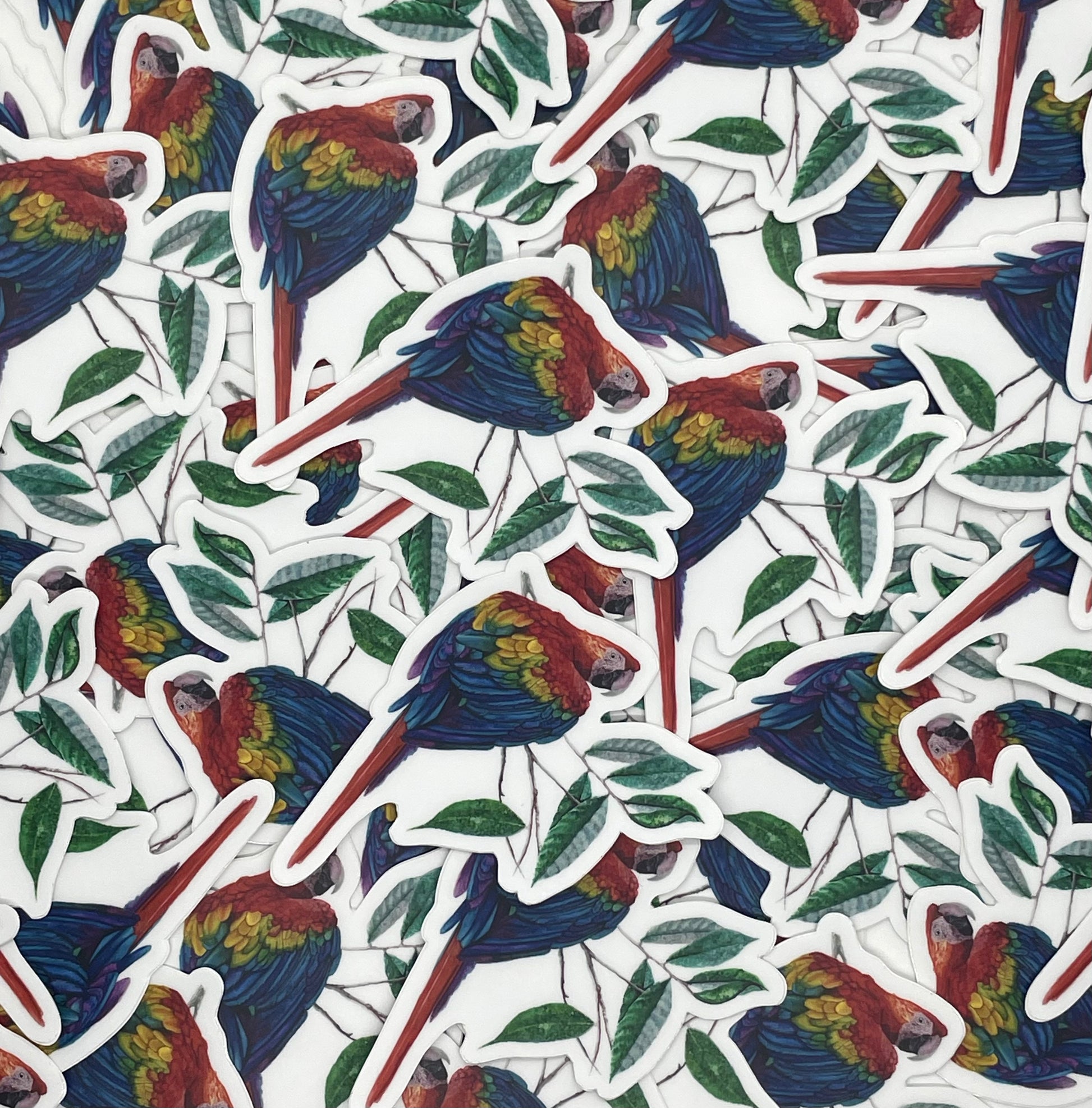 Scarlet Macaw - Bird Art by KB - Sticker
