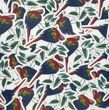 Scarlet Macaw - Bird Art by KB - Sticker