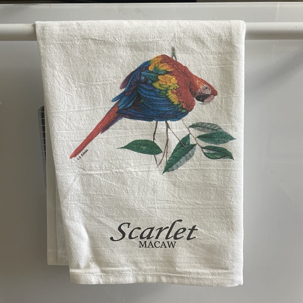 Scarlet Macaw - Bird Art by KB - Towel