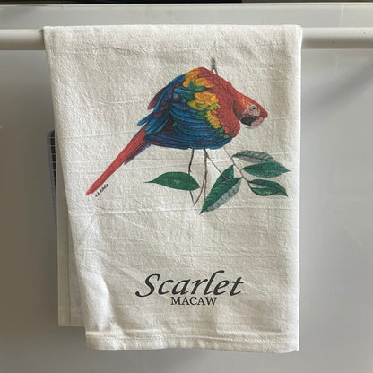 Scarlet Macaw - Bird Art by KB - Towel