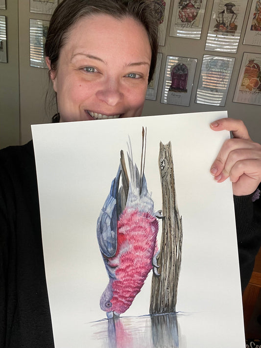 Galah - Bird Art by KB - Original