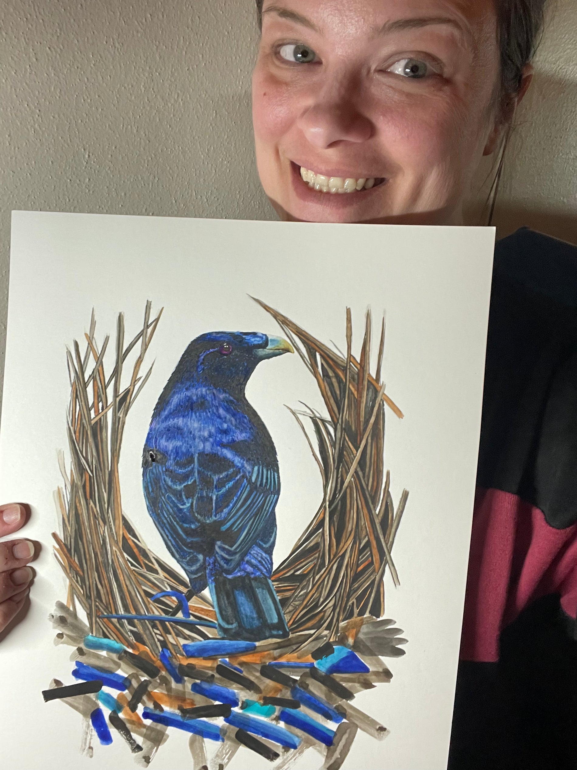 Satin Bower Bird - Bird Art by KB - Original