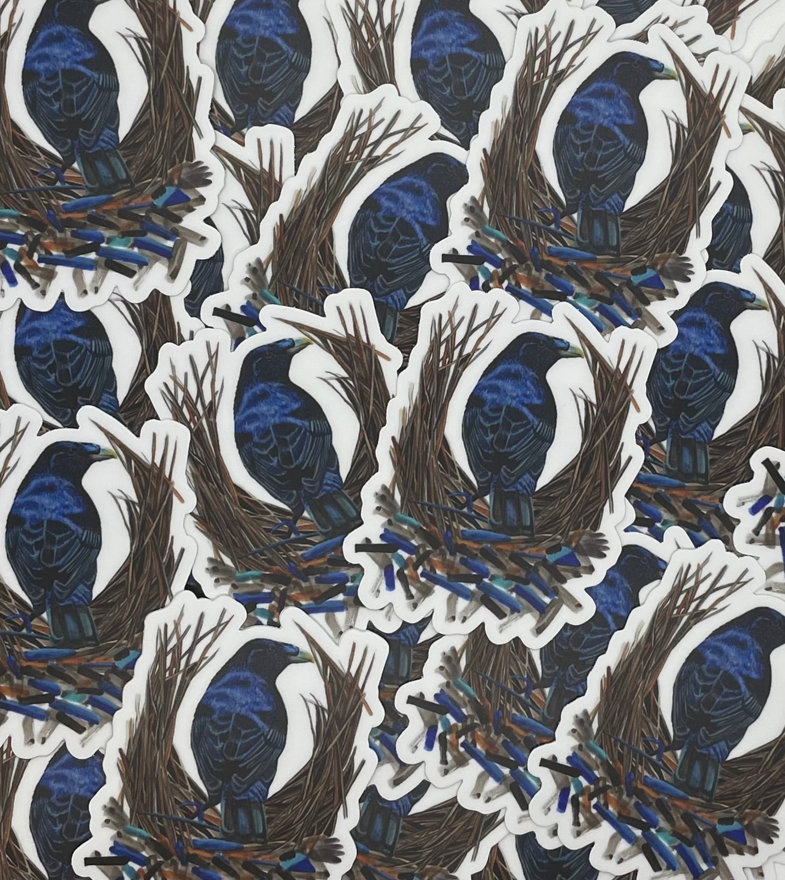 Satin Bower Bird - Bird Art by KB - Sticker