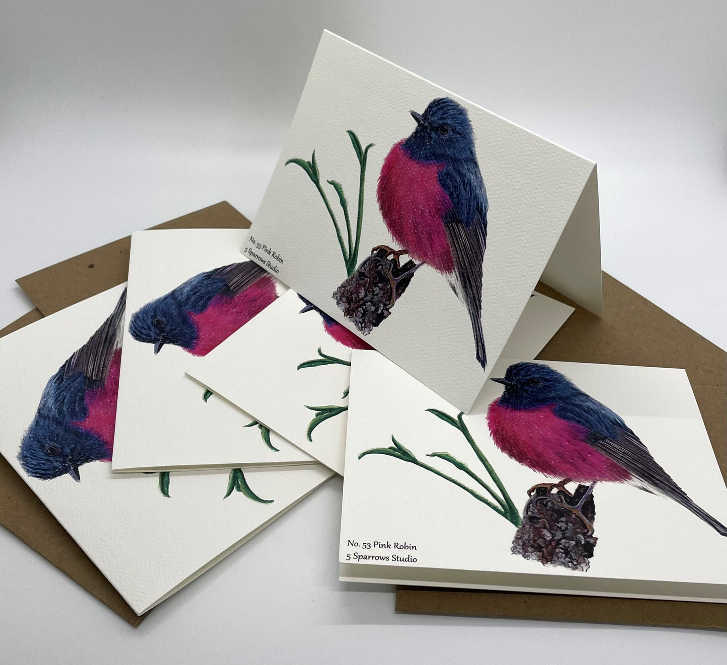 Pink Robin - Bird Art by KB - Notecard Set