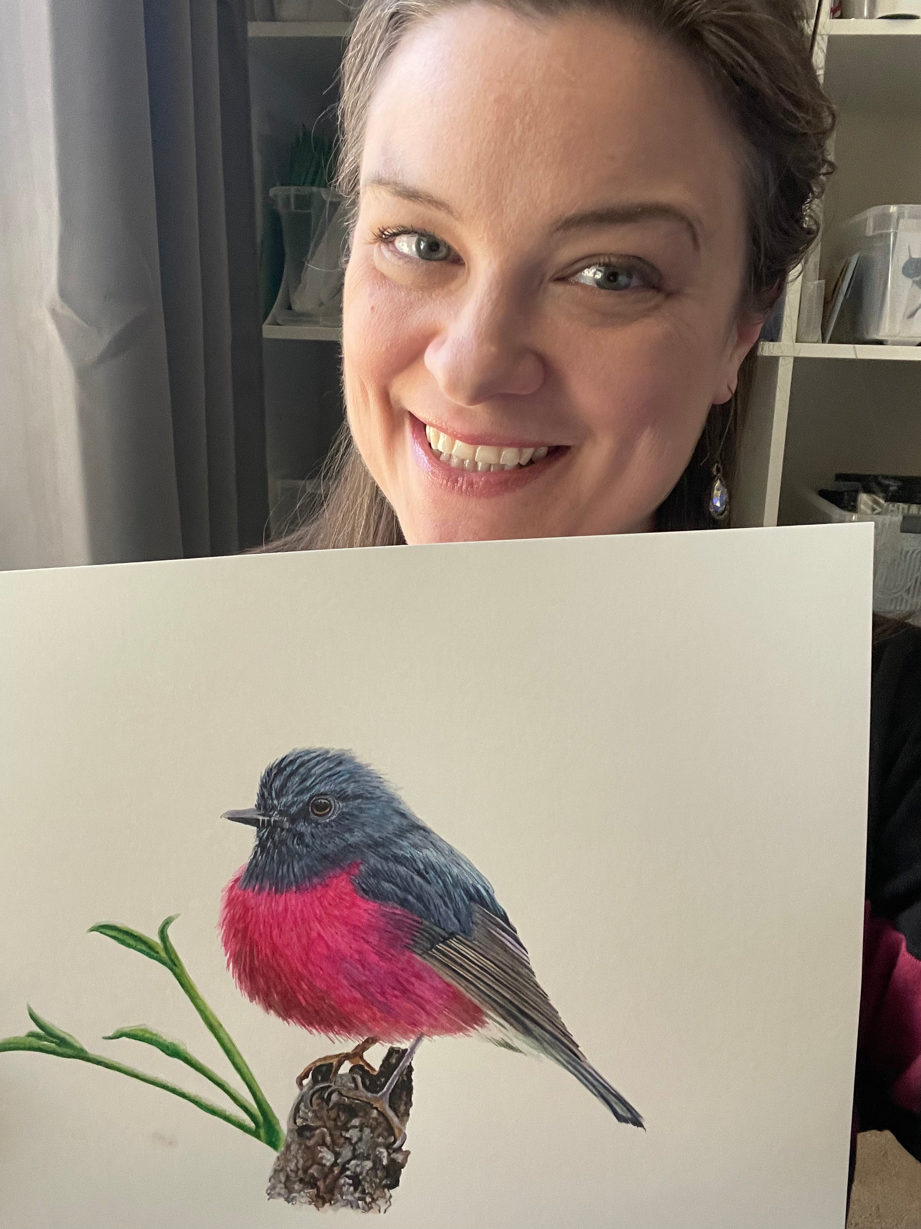 Pink Robin - Bird Art by KB - Original