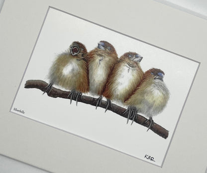 Silverbills - Bird Art by KB - Giclee Print with White Mat