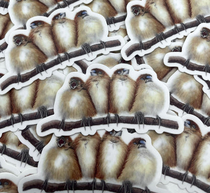 Silverbills - Bird Art by KB - Sticker