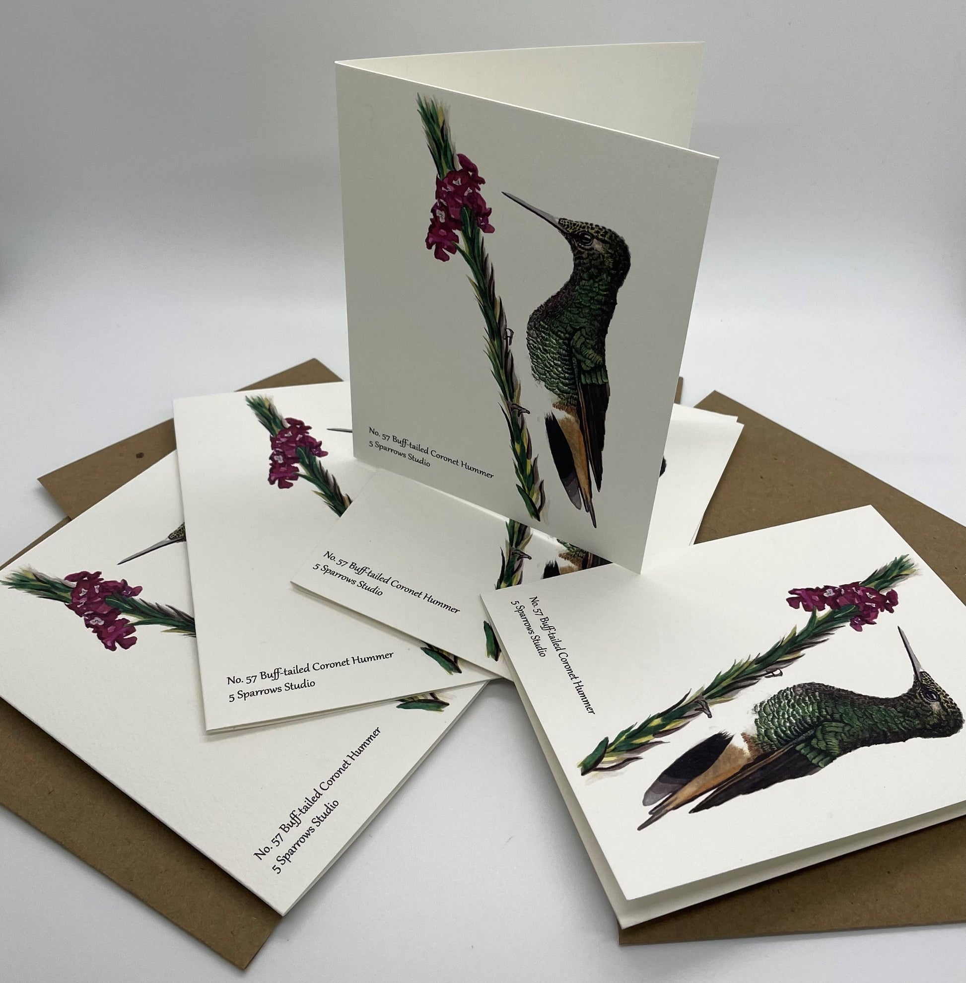 Buff-tailed Coronet Hummer - Bird Art by KB - Notecard Set