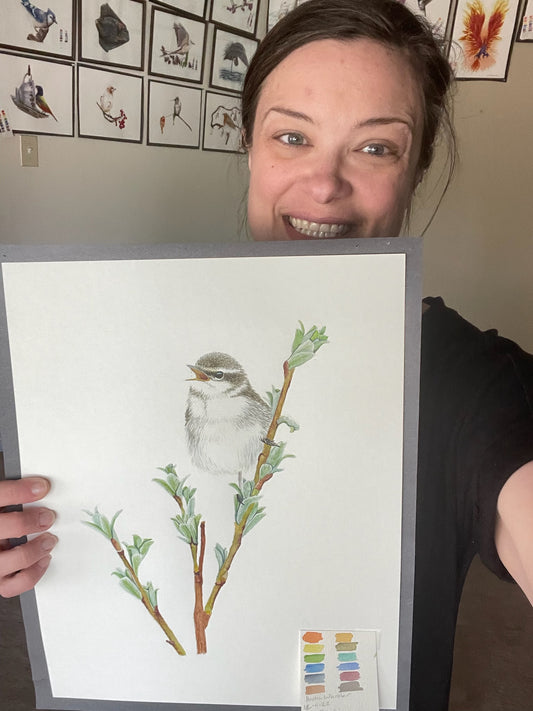 Arctic Warbler - Bird Art by KB - Original